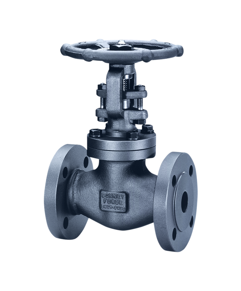 Bonney Forge Globe Valve