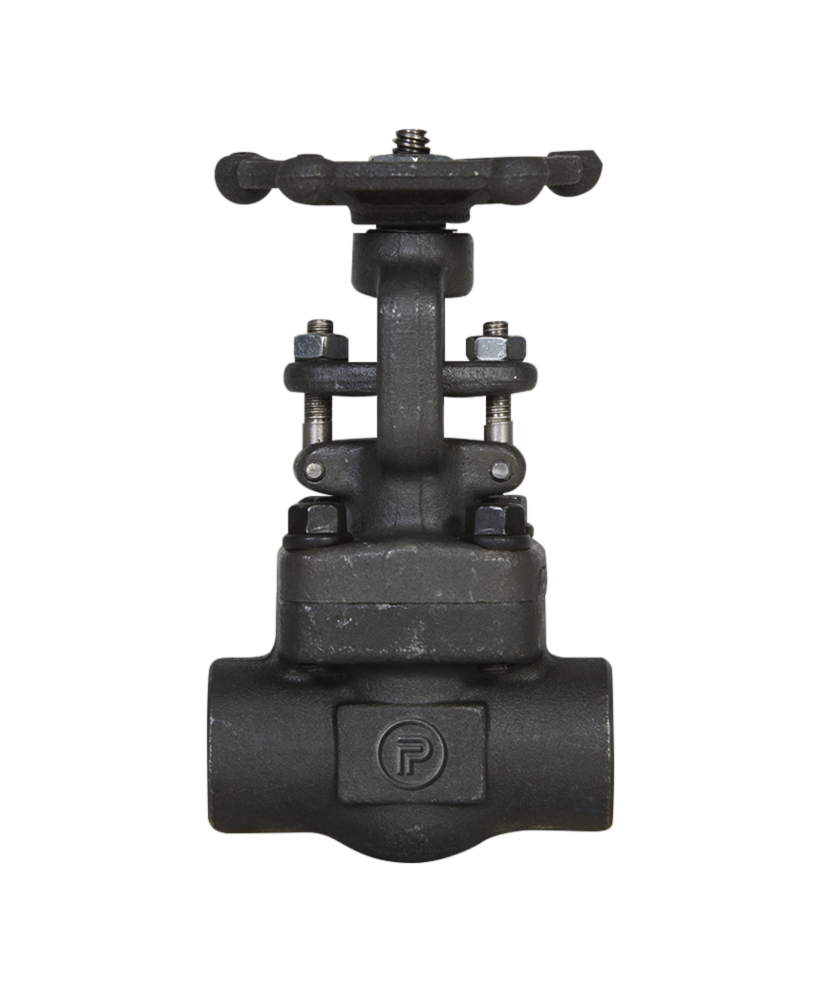 Powell Valves Check Valve