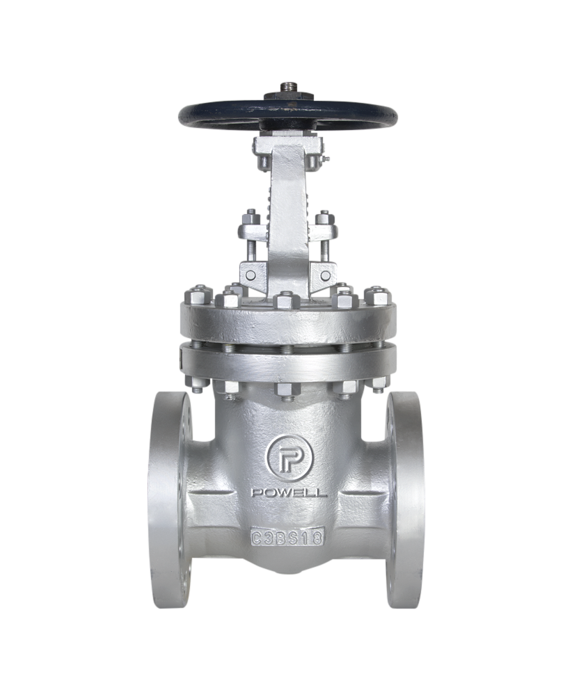 Powell Valves Globe Valve