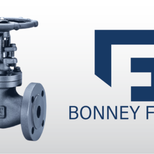 Globe Valve Bonney Forge