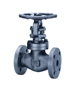 Bonney Forge Globe Valve