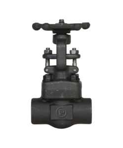 Powell Valves Check Valve