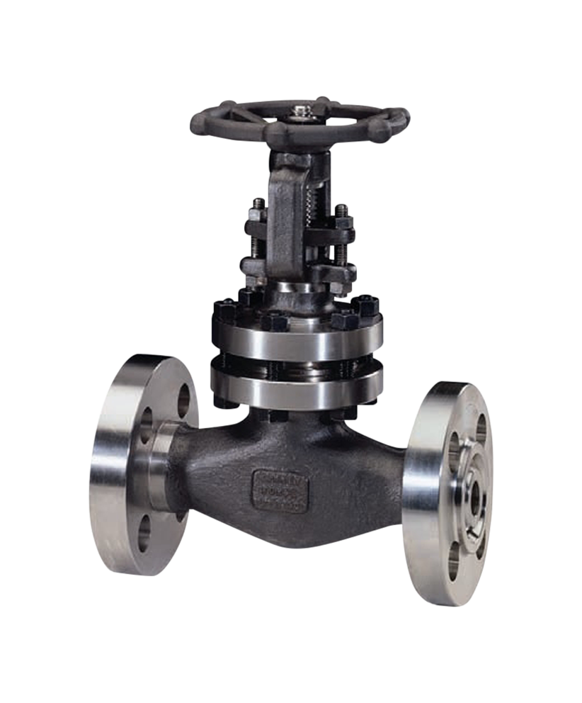 Jual Steel Globe Valve PT. Radiksa Adijaya Prakarsa