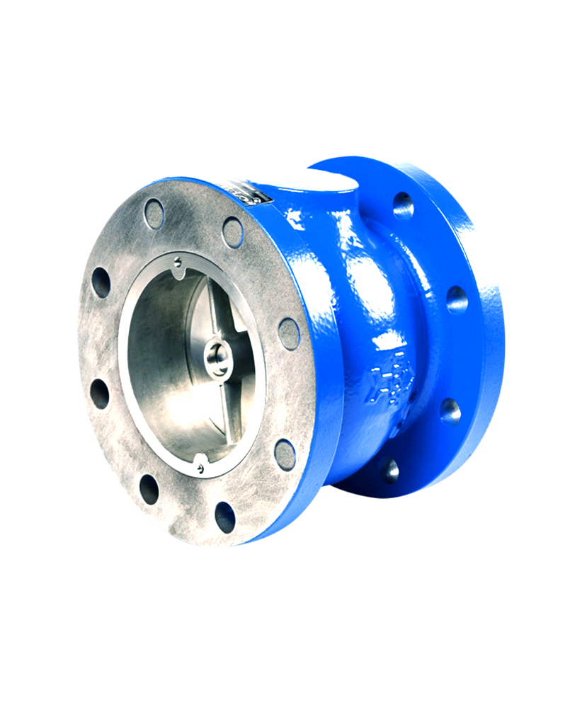 Jual Silent Globe Check Valve PT. Radiksa Adijaya Prakarsa