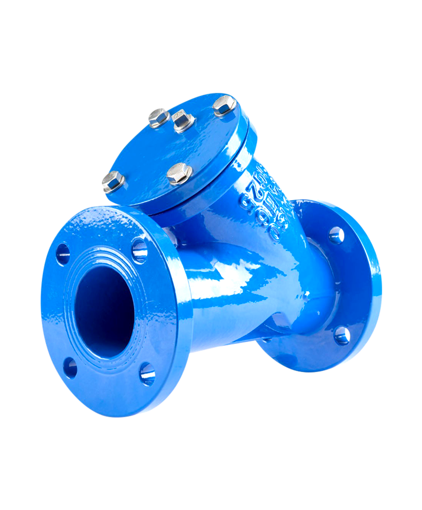 Jual YStrainer Di Indonesia PT. Radiksa Adijaya Prakarsa