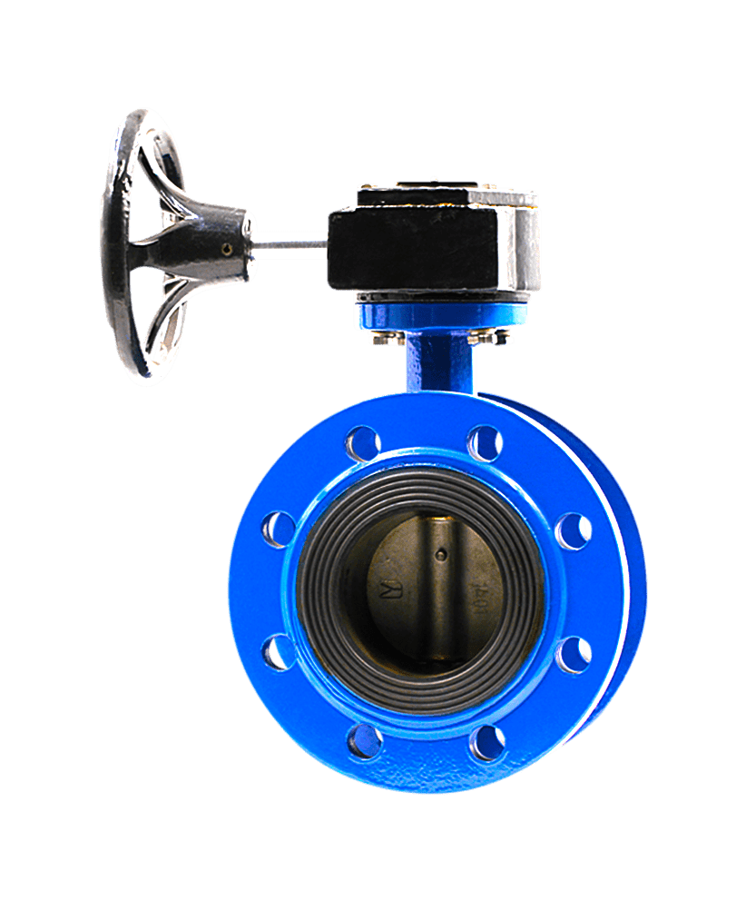 Jual Double Flange Butterfly Valve PT. Radiksa Adijaya Prakarsa
