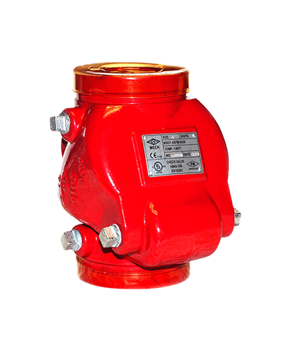 Grooved Swing Check Valve