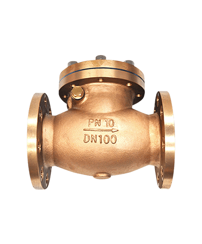 Bronze Check Valve