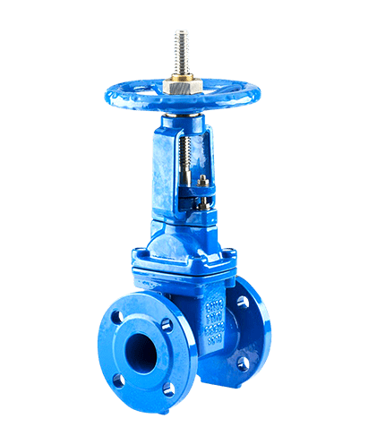 Rising Stem Gate Valve