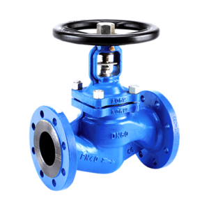 Jual Bellow Seal Globe Valve Ayvaz