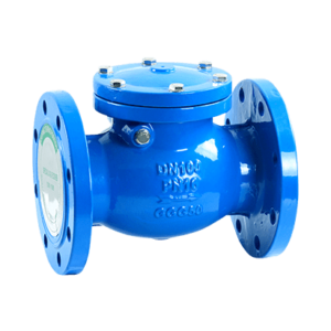 Jual Check Valve Astam