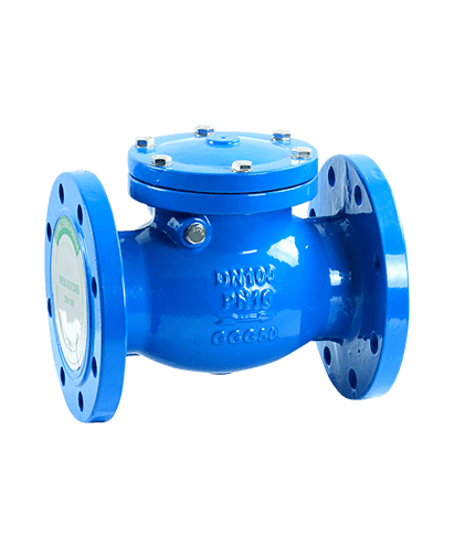 Check Valve