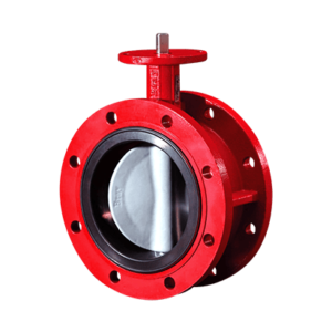 Jual Double Flange Butterfly Valve Bray