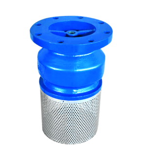 Jual Foot Valve with Strainer Ayvaz
