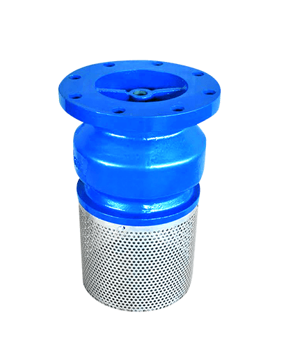 Foot Valve Strainer