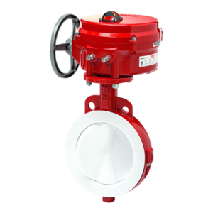 Jual Lined Butterfly Valve Bray